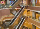 FUJI Vvvf Control Superior Quality Smooth Running 35 Degree Shopping Mall Escalator